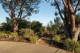 1097 Camino Alisos, Fallbrook, CA 92028 - Photo 68
