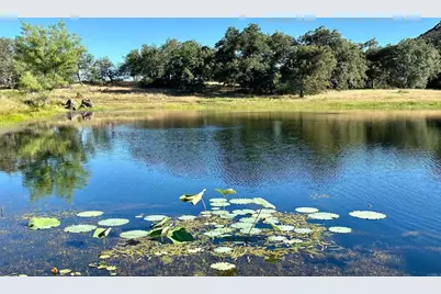 25258 Black Canyon Road, Santa Ysabel, CA 92070 - Photo 4