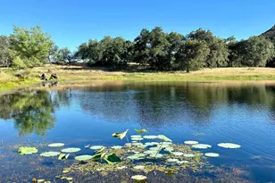 25258 Black Canyon Rd, Santa Ysabel, CA 92070 - Photo 4