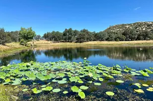 25258 Black Canyon Rd, Santa Ysabel, CA 92070 - Photo 48
