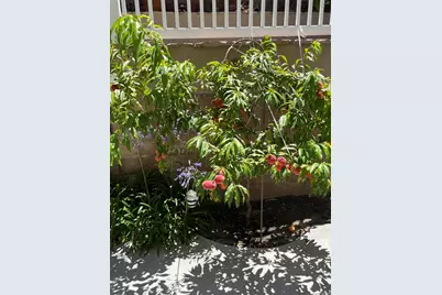 2285 Hillyer Street, Carlsbad, CA 92008 - Photo 44