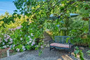 9675 Indian Creek Way, Escondido, CA 92026 - Photo 48