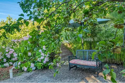 9675 Indian Creek Way, Escondido, CA 92026 - Photo 52