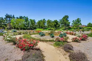 820 Culloden Ct, Fallbrook, CA 92028 - Photo 66