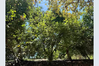 764 Old Highway 395, Fallbrook, CA 92028 - Photo 36