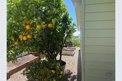 1930 W San Marcos Boulevard #105, San Marcos, CA 92078 - Photo 4