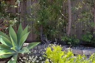 4475 Georgia St, San Diego, CA 92116 - Photo 22