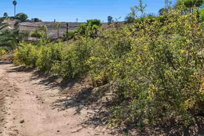 2777 Kingridge Drive, Fallbrook, CA 92028 - Photo 8