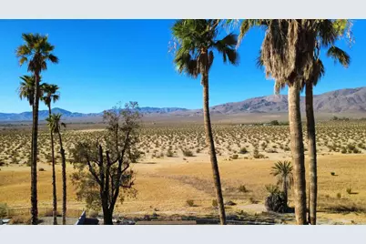 3187 Hook Ct, Borrego Springs, CA 92004 - Photo 4