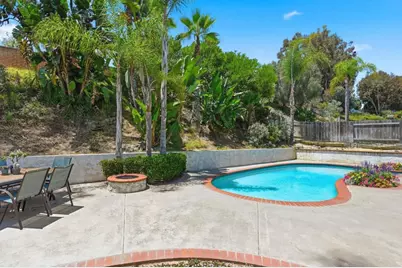 356 Delage Drive, Encinitas, CA 92024 - Photo 40