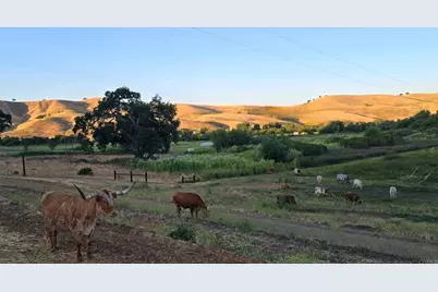 550 Limekiln Road, Hollister, CA 95023 - Photo 36