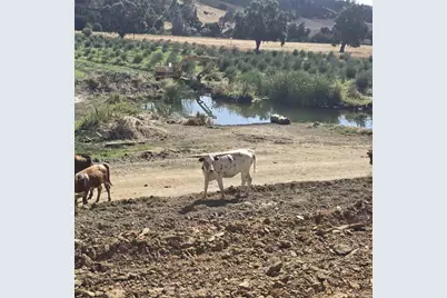 550 Limekiln Road, Hollister, CA 95023 - Photo 28