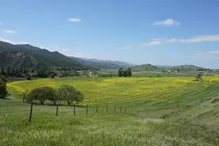 550 Limekiln Rd, Hollister, CA 95023 - Photo 30