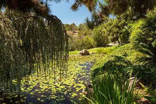 4241 Via El Dorado, Fallbrook, CA 92028 - Photo 56
