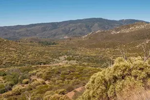 55101 State Hwy 74, Mountain Center, CA 92561 - Photo 44