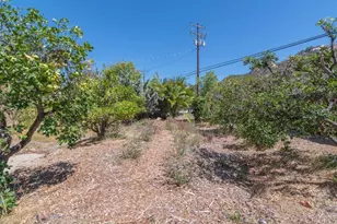 5741 Rainbow Heights Rd, Fallbrook, CA 92028 - Photo 42