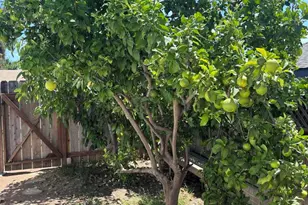 6114 Fenimore Way, San Diego, CA 92120 - Photo 22