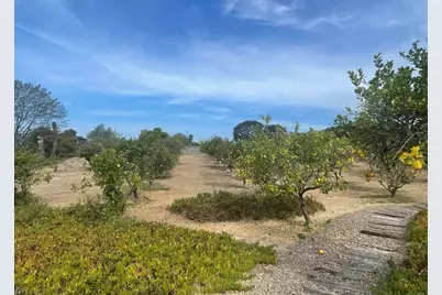 6375 La Valle Plateada, Rancho Santa Fe, CA 92067 - Photo 8