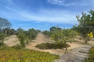 6375 La Valle Plateada, Rancho Santa Fe, CA 92067 - Photo 8