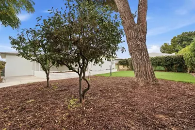 704 Goldenrod Street, Escondido, CA 92027 - Photo 46