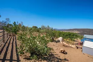 20801 N Burma Rd, Ramona, CA 92065 - Photo 52