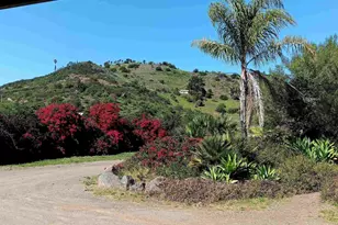 334 Rainbow Crest Rd, Fallbrook, CA 92028 - Photo 6