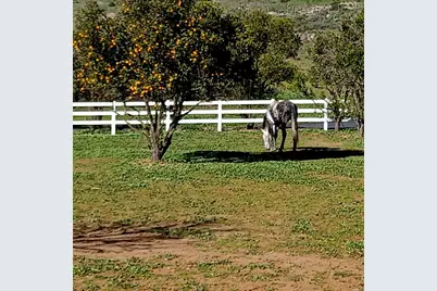 334 Rainbow Crest Road, Fallbrook, CA 92028 - Photo 18