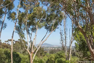 16238 Via Del Alba, Rancho Santa Fe, CA 92067 - Photo 2