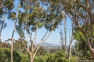16238 Via Del Alba, Rancho Santa Fe, CA 92067 - Photo 2