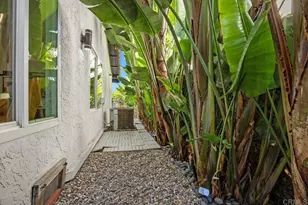 2016 Pintoresco Ct, Carlsbad, CA 92009 - Photo 44