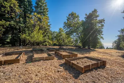 3413 Fern Meadow Road, Palomar Mountain, CA 92060 - Photo 48