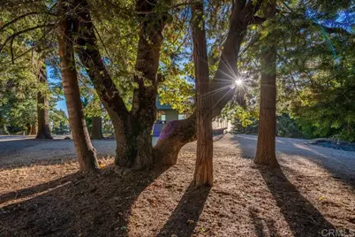 3413 Fern Meadow Road, Palomar Mountain, CA 92060 - Photo 56