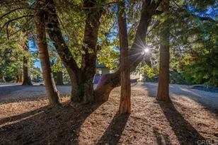 3413 Fern Meadow Rd, Palomar Mountain, CA 92060 - Photo 58