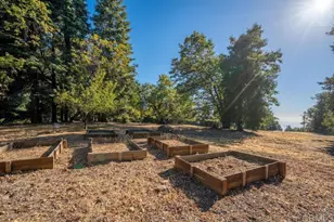 3413 Fern Meadow Rd, Palomar Mountain, CA 92060 - Photo 50