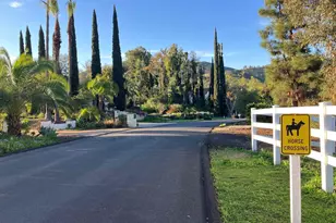 31255 Via Mariposa Ct, Bonsall, CA 92003 - Photo 12