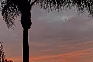 2929 Via Ipanema, Carlsbad, CA 92009 - Photo 44