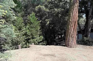 22045 Crestline Rd, Palomar Mountain, CA 92060 - Photo 38