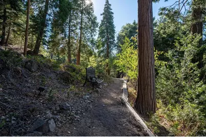 22136 Crestline Road, Palomar Mountain, CA 92060 - Photo 28