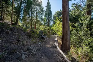 22136 Crestline Rd, Palomar Mountain, CA 92060 - Photo 28