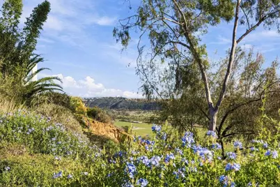 4616 Rancho Reposo, Del Mar, CA 92014 - Photo 40