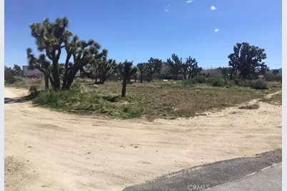 7199 Grand Avenue, Yucca Valley, CA 92284 - Photo 4