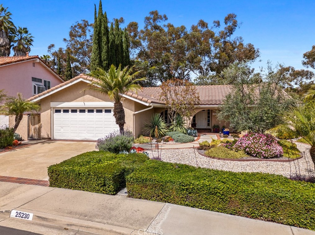 25230 Terreno Dr, San Juan Capistrano, CA 92691-5528