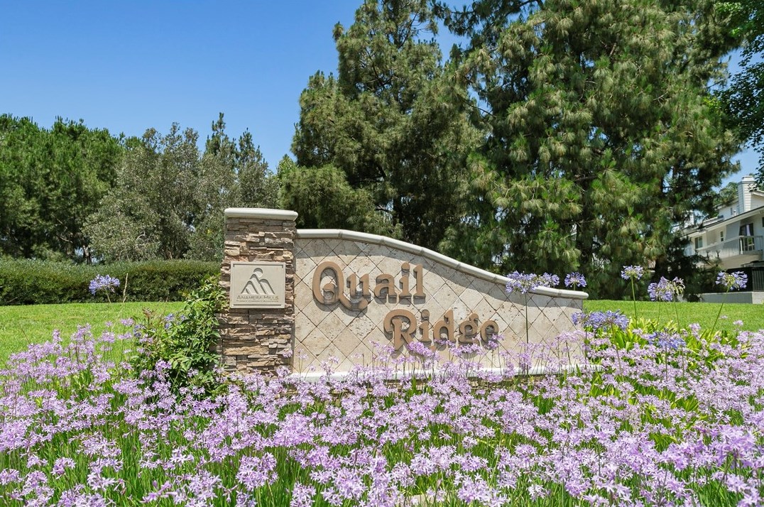596 S Anaheim Hills Rd, Anaheim, CA 92807