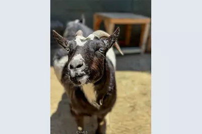 2173 Orchard Drive, Newport Beach, CA 92660 - Photo 10