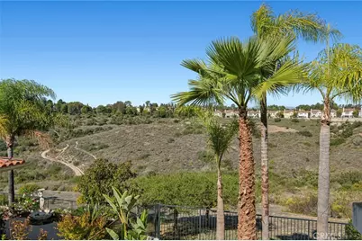 33 Monterey Pine, Newport Coast, CA 92657 - Photo 26