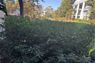 101 Scholz Plaza, Newport Beach, CA 92663 - Photo 24