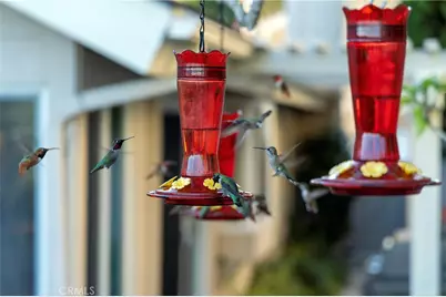 20 Southern Wood, Irvine, CA 92603 - Photo 8