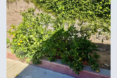 5982 Harrison, Chino, CA 91710 - Photo 6