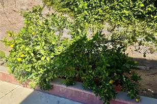 5982 Harrison, Chino, CA 91710 - Photo 6