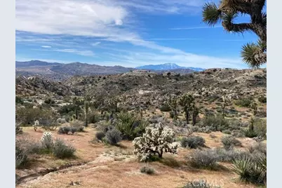 57296 Manzanita, Yucca Valley, CA 92284 - Photo 2